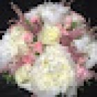 FLORISTERIA ES ROMANÍ