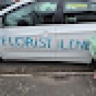 Florist Ilene - Florists Hamilton