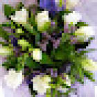 Ilam Florist Christchurch