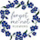 Forget Me Not Flowers