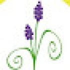 Floristeria Taller Muscari