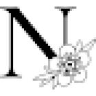 Native Florist (formerly Flowers on Bank)