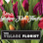 The Village Florist