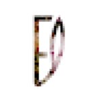 Villaflores Lore-denda eta Lore-dekorazioa