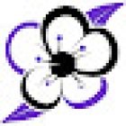 Floristería El Vergel Bodas y Eventos