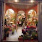 Flors Núria Armengol