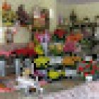 Flores María Pinilla