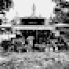 Floristería La Violeta