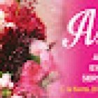 Hans Klobuznik - Plantas Y Flores