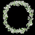 Floristeria Colors & Emotions