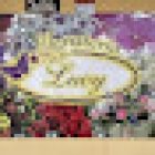 Floristeria Lucy Aguilas