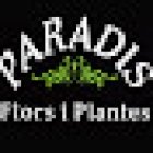 Flors Paradís Castelldefels