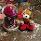 Floristería Camelía