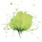 Blumenaria-Taller Floral / Floristería