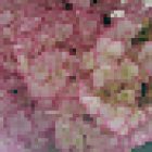 Jardineria Concepció