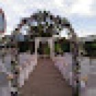 Floristeria Lliri Blau Alzira