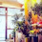 Floristería El Jardín