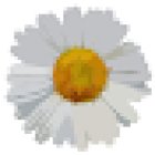 Floristería y Jardinería ¡Ay Margarita!