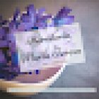 Floristería María Teresa