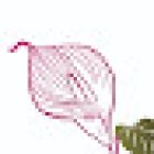 Floristeria ConFlores