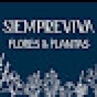 Siempreviva flores y plantas