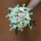 Floristería Trébol