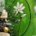 Floristería Antonia Bueno