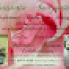 Floristeria Amazonia