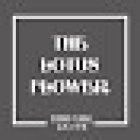 FLORISTERIA THE LOTUS FLOWER