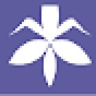 Floristería la Flor de Lis