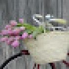 Floristeria Caprichos