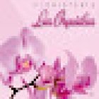 Floristería Las Orquídeas