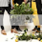 Entredos Pop-Up Store