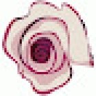 Arteflor floristeria