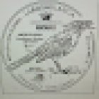 Floristería La Rosa Blanca