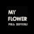 My Flower Pina Deffenu
