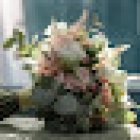 Floristería conil Las Calas