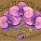 Floristeria Fàbregas