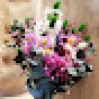 El Jardinet de Sarrià