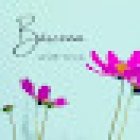 Bárcena Diseño Floral