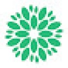 THE ART AND EVENTS FLORISTERÍA