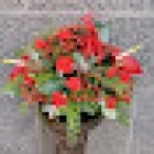 Floristería La Pagoda