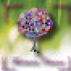 Floristerías Crisana II y Aliaflor