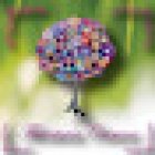 FLORISTERIAS CRISANA ADEJE