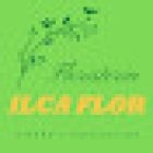 Floristeria Ilcaflor