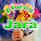 Flores Jara