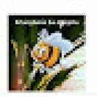 Floristería la Abejita