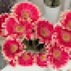 Floristería El Jardín de Paula - Floristeria en La Laguna