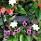 Floristería Rosaleda