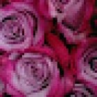 Floristeria Maxiflor Especialista en Bodas